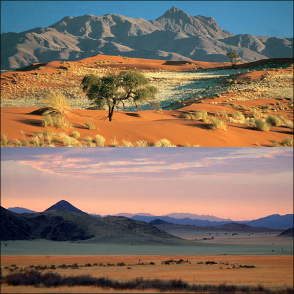 Courtesy of Wolwedans Dune Lodge